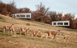 Awasi Patagonia: Khu nghỉ dưỡng bình yên bên sườn đồi