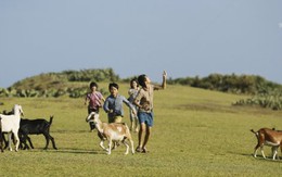 Không thể làm phim "khách chẳng buồn xem, tốn đống tiền thuế của dân"