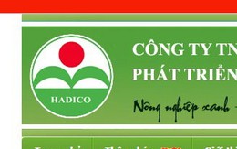 Khởi tố nguyên phó tổng giám đốc Công ty Hadico