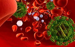 ​Điều trị thuốc kháng virus cho tất cả người nhiễm HIV