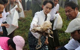 ​Bà Aung San Suu Kyi ra đường nhặt rác