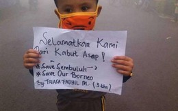 ​Indonesia phạt hàng loạt công ty gây cháy rừng