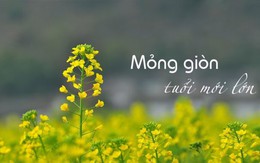 3 chia sẻ quý gửi cha mẹ có con tuổi "bất trị"