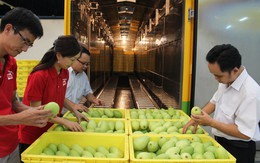 Sản xuất trong nước phải thắng trên sân nhà