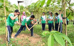 Trải nghiệm làm nông dân