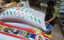 Mới có 21 đơn vị được cấp phép sản xuất phân bón