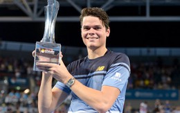 Raonic và Djokovic chạy đà hoàn hảo  trước Giải Úc mở rộng