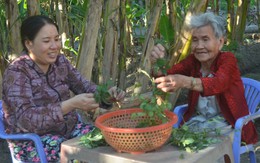 Khi mất một nửa cuộc đời