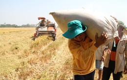 Nông dân cũng không muốn làm nông dân, vì sao nên nỗi?