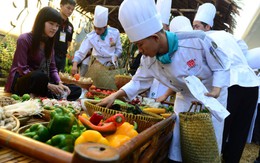 16 loại rau, gia vị nên có trong nhà