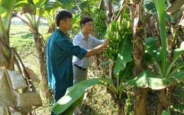 Lo cho mình, cùng giúp bạn