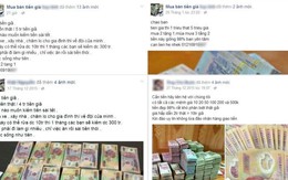 Mua bán tiền giả trên Facebook tù như chơi