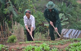 ​Trợ giúp người di cư tự do từ Lào trở về nước