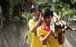 Xuân về với vùng quê nghèo