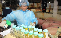 Vi phạm dùng chất cấm salbutamol, mang phong bì đi hối lộ