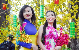 Điểm tin: Tết Tết Tết Tết đến rồi