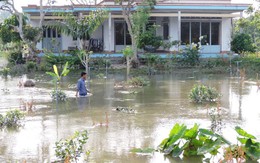 Tết ngập vậy thì tết gì nổi