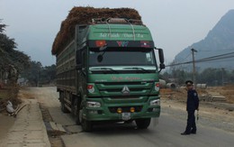 Tạm đình chỉ công tác chánh thanh tra Sở GTVT Thanh Hóa