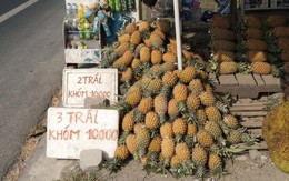 Đi ngang Long An, nhớ ghé ăn thơm Bến Lức 