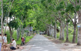 ​Công nhận Khu Ramsar Vườn Quốc gia U Minh Thượng