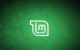 Hacker nhúng mã độc vào hệ điều h​ành Linux Mint