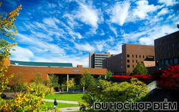 ​Lấy bằng Đại học Mỹ danh tiếng với chi phí tiết kiệm