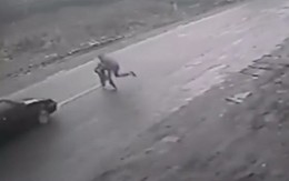 Video bé 4 tuổi thoát chết gang tấc khi chạy qua đường