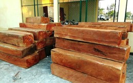 Truy tố nhóm kiểm lâm huyện Hàm Tân thả xe gỗ vi phạm