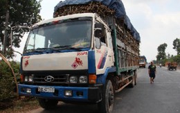 Điểm tin: Xuất hiện "cò" theo dõi đoàn thanh tra