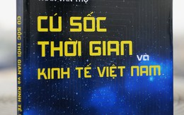 Cú sốc thời gian và kinh tế Việt Nam