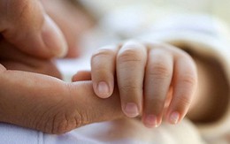 ​Hai bộ phối hợp giải quyết việc nuôi con nuôi