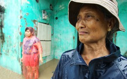 Phóng sự ảnh: Quảng Ninh gượng dậy sau mưa lũ