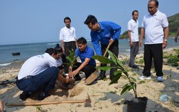 Thanh niên Lào trồng cây bàng vuông trên quê hương Hải đội Hoàng Sa