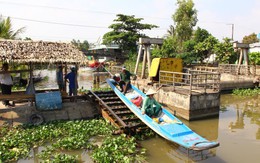 Chỗ ngọt trồng lúa, chỗ mặn nuôi tôm