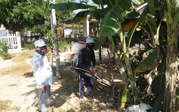 ​Phòng chống muỗi đốt để phòng tránh bệnh do vi rút Zika