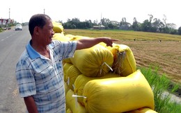 "9g45 khác gì 10g mà không cho cắt lúa?"