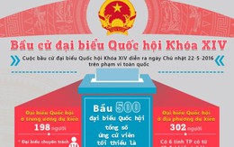 Các bạn trẻ 18 tuổi đối thoại về bầu cử