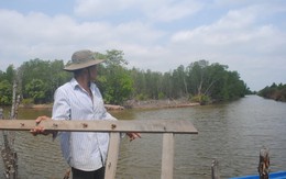 Sẽ thu hồi đất rừng sản xuất tự túc