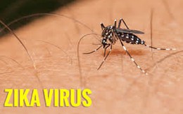 Tăng thêm 8 ca nhiễm virút Zika tại TP.HCM