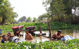 Bạc Liêu: tỉnh thứ 9 ở ĐBSCL công bố thiên tai hạn - mặn