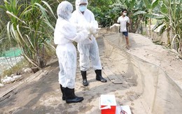 ​Ký hiệp định thành lập ACCAHZ