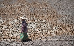 ​Hạn hán buộc Thái Lan phải đa dạng cây trồng ngoài lúa nước