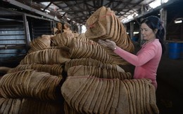 Chống đôla hóa: doanh nghiệp kêu khó, ngân hàng nói không