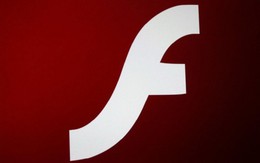 Người dùng máy tính cần cập nh​ật nhanh Adobe Flash