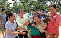 Cha mẹ gục ngã bên xác con