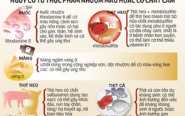 Hiểu về màu thực phẩm