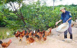 ​Nâng mức vay giải quyết việc làm cho thanh niên