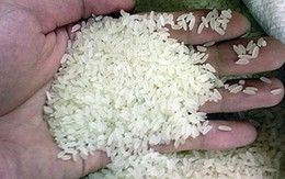 Trả lời bạn đọc về việc chia gạo cứu đói cho ngư dân
