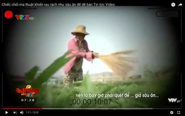 ​Yêu cầu VTV giải trình vụ phóng sự cây chổi quét rau