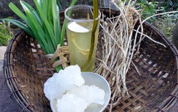 Rễ tranh, ngọt lành nước mát đồng quê